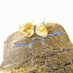 Citrine Stud Earrings