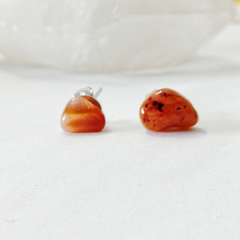 Carnelion Stud Earrings