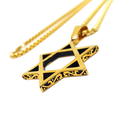 (4-3213-h5) Stainless Steel Star of David Necklace, 24".